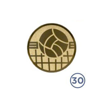 30 VOLEYBOL