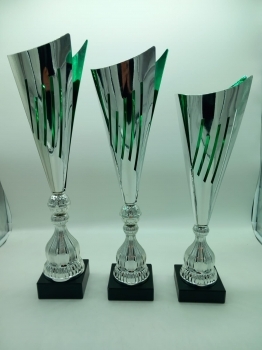 trofeo ficha grande