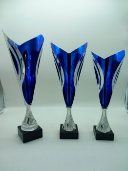 trofeo ficha grande