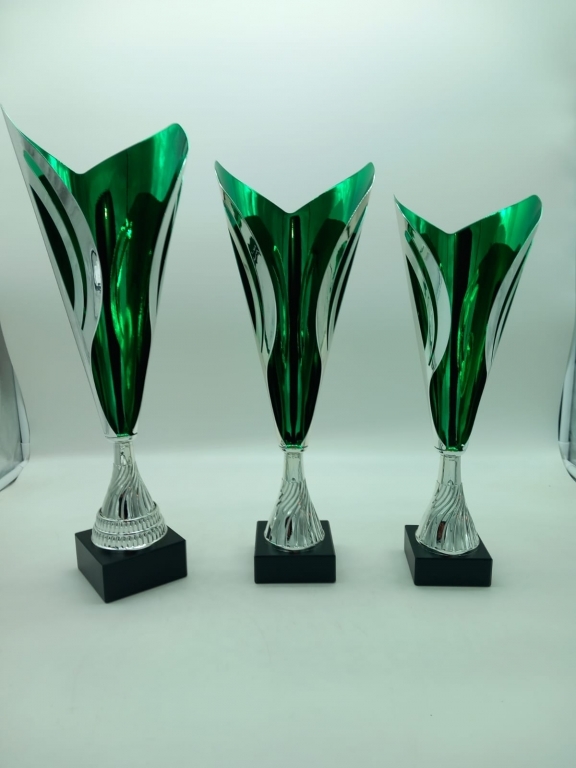 trofeo ficha grande
