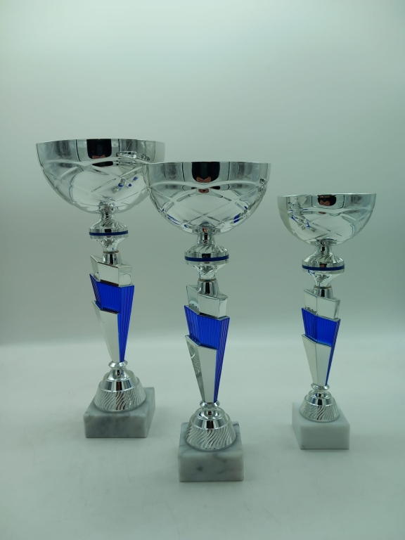 trofeo ficha grande
