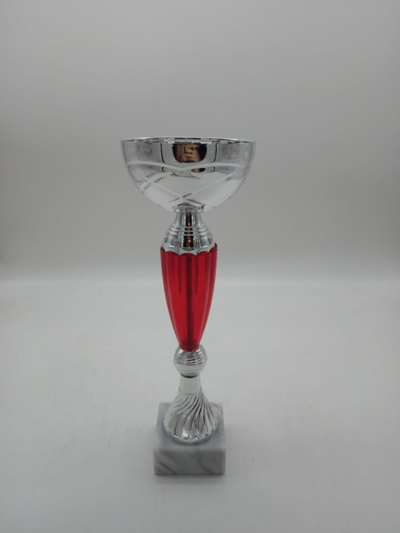 trofeo ficha grande