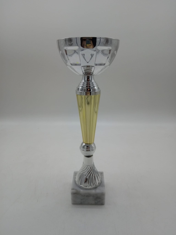 trofeo ficha grande