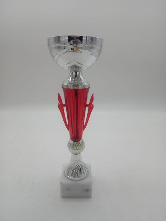 trofeo ficha grande