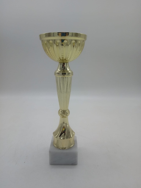 trofeo ficha grande