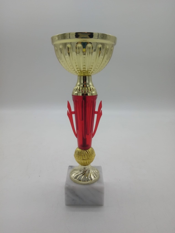 trofeo ficha grande