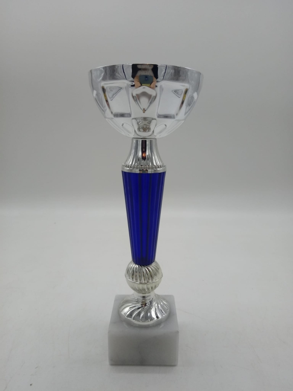 trofeo ficha grande