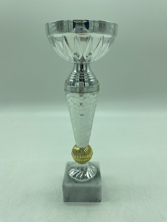 trofeo ficha grande