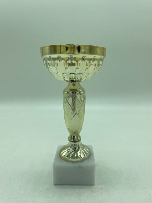 trofeo ficha grande