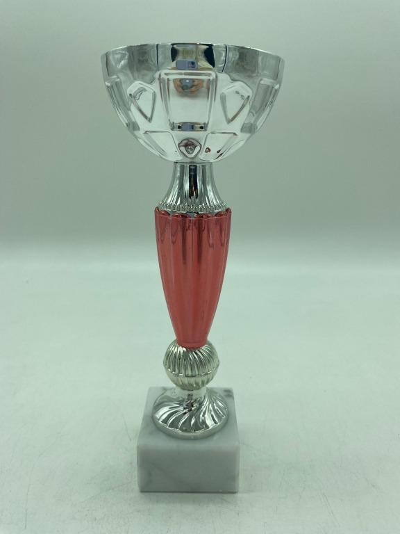 trofeo ficha grande