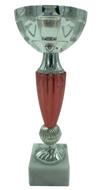 trofeo ficha grande