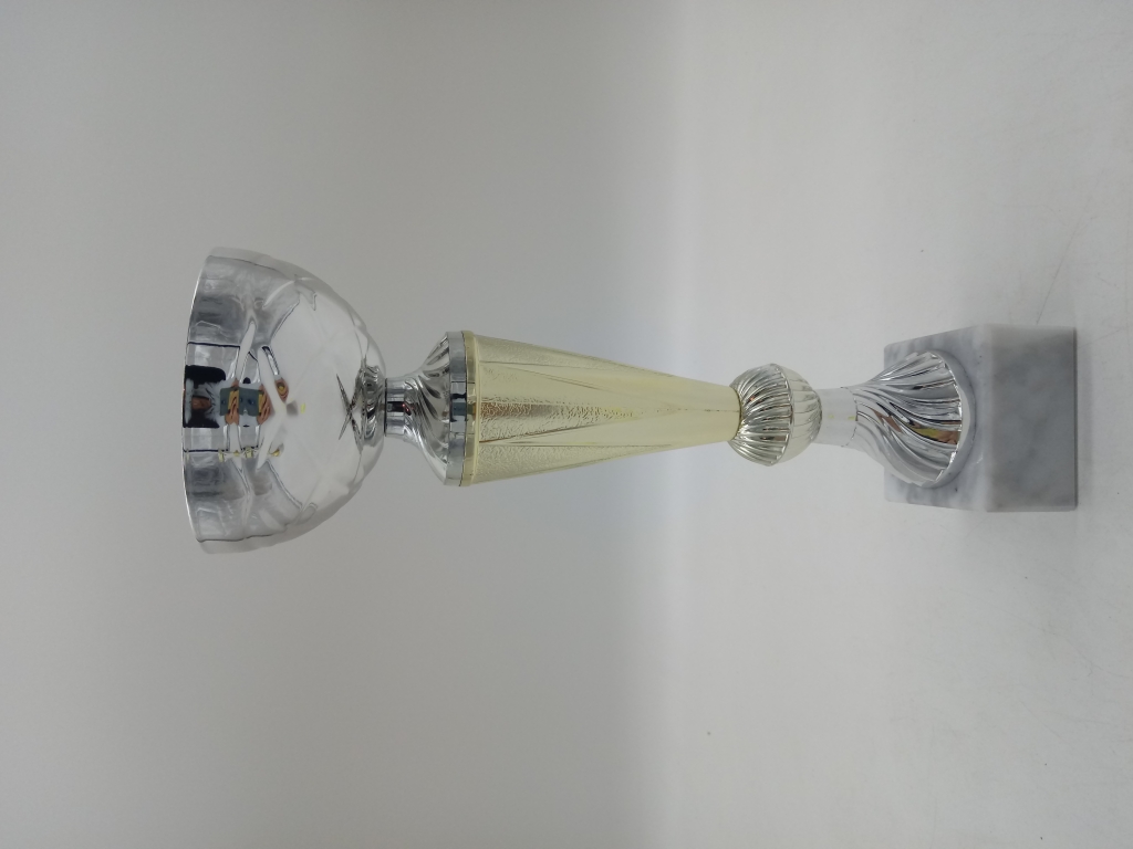 trofeo ficha grande