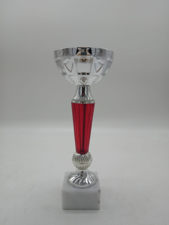 trofeo ficha grande