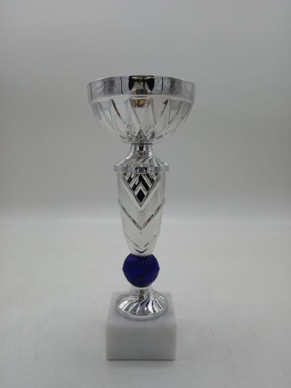 trofeo ficha grande