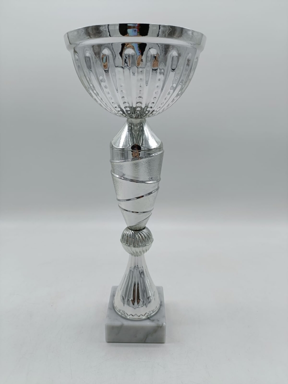 trofeo ficha grande