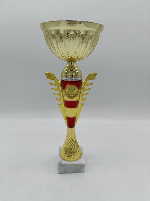 trofeo ficha grande