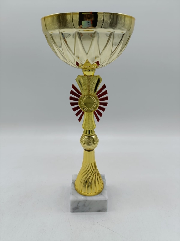 trofeo ficha grande