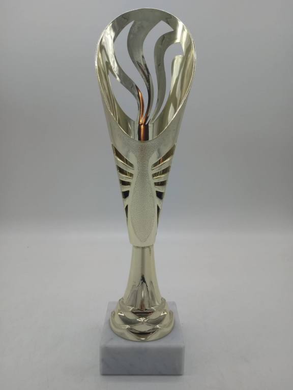 trofeo ficha grande