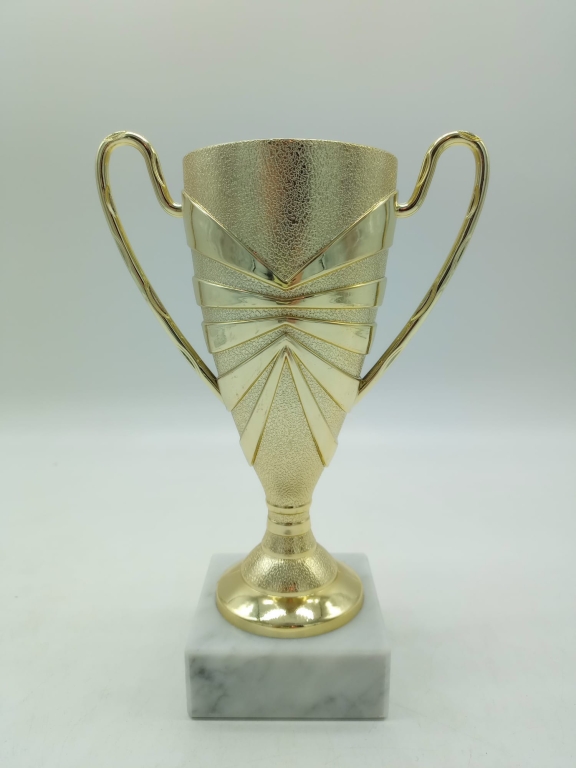 trofeo ficha grande