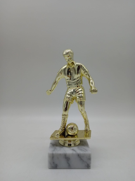 trofeo ficha grande