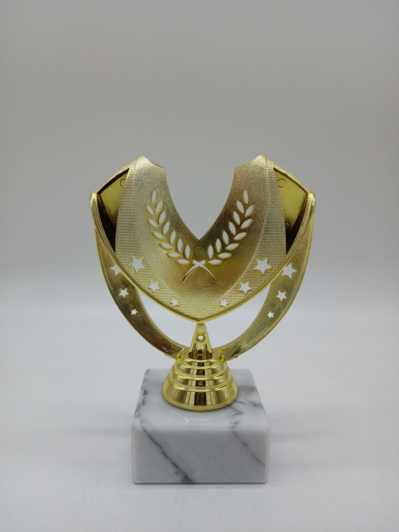 trofeo ficha grande