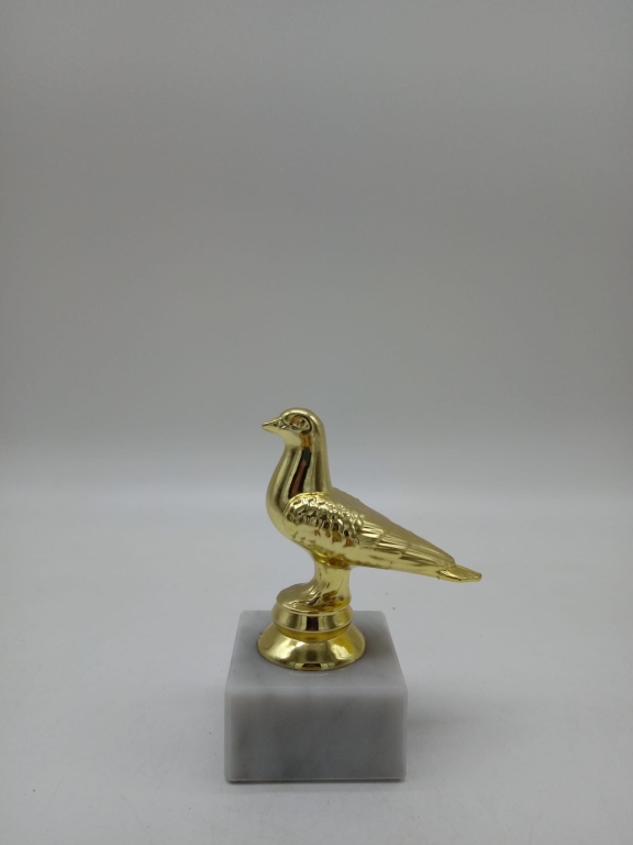 trofeo ficha grande