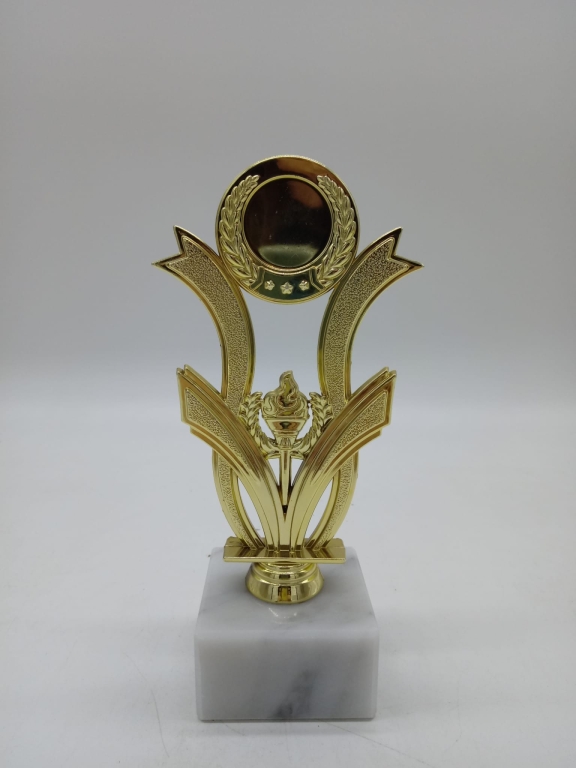 trofeo ficha grande