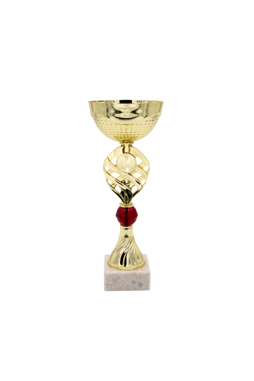 trofeo ficha grande