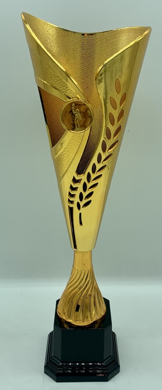 trofeo ficha grande
