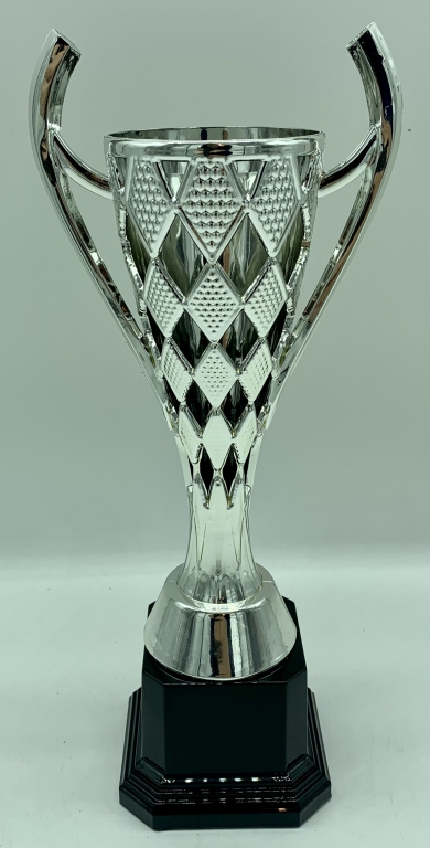 trofeo ficha grande