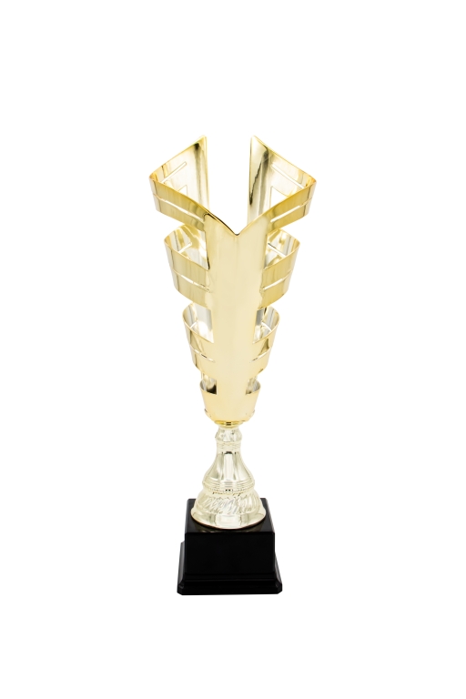 trofeo ficha grande