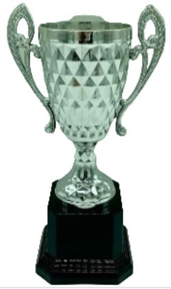 trofeo ficha grande