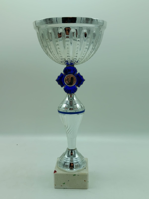 trofeo ficha grande
