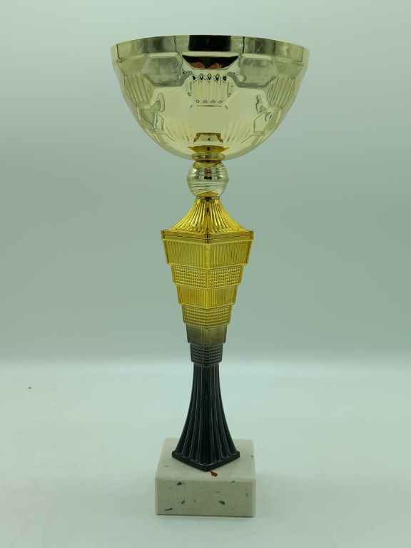 trofeo ficha grande