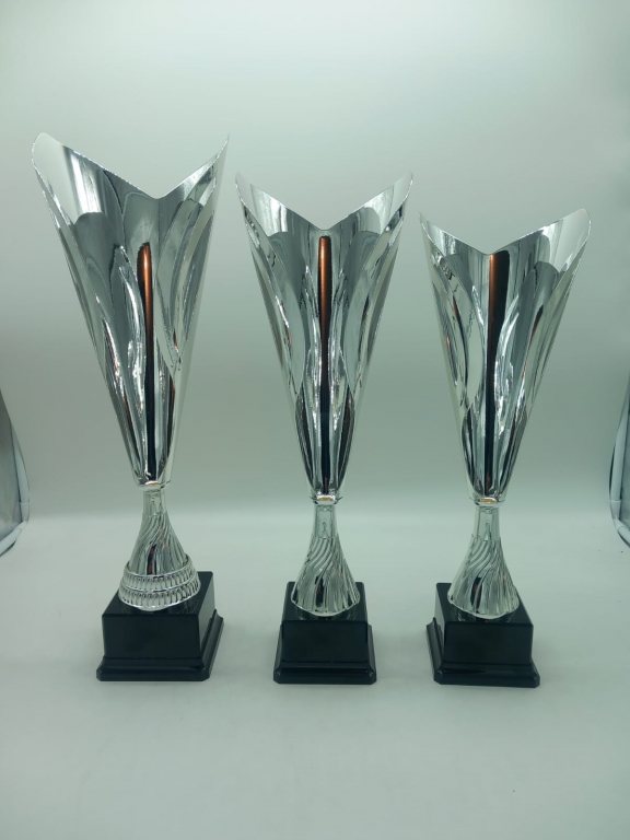 trofeo ficha grande
