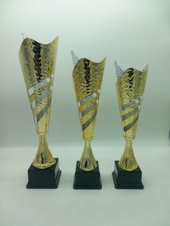 trofeo ficha grande