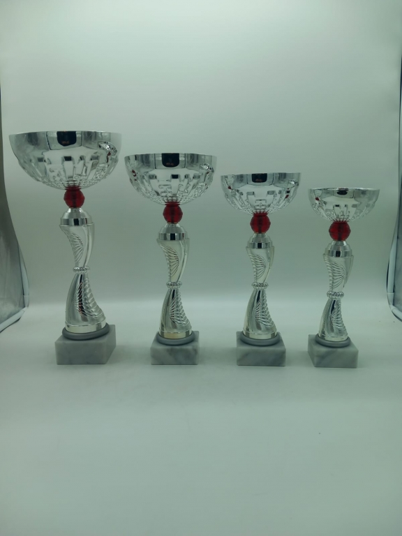 trofeo ficha grande