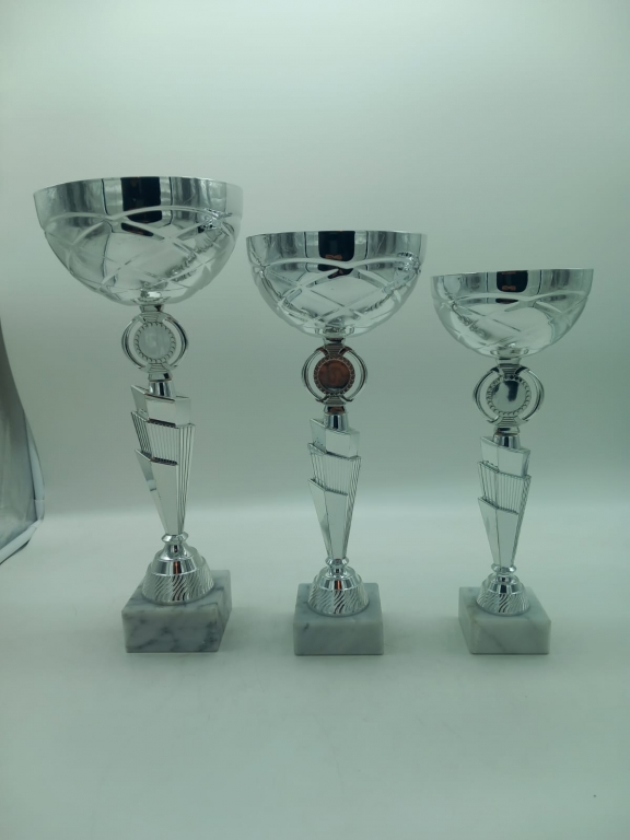 trofeo ficha grande