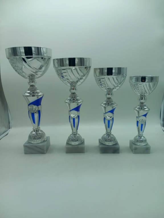 trofeo ficha grande