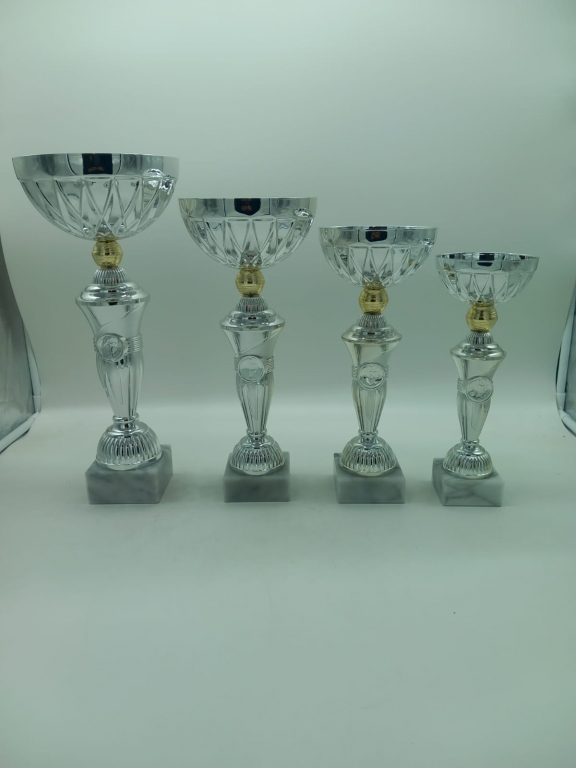 trofeo ficha grande
