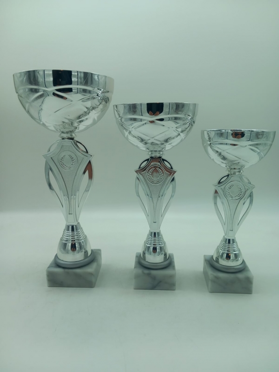 trofeo ficha grande