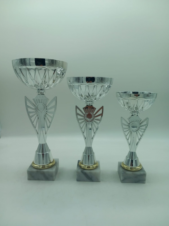 trofeo ficha grande