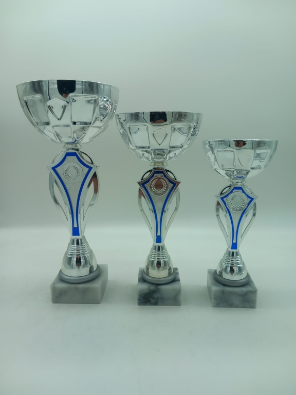 trofeo ficha grande
