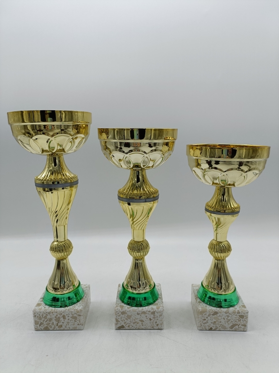 trofeo ficha grande