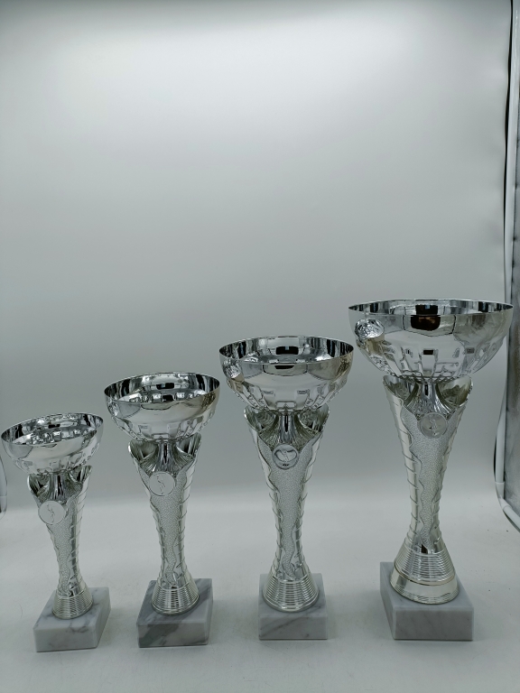 trofeo ficha grande