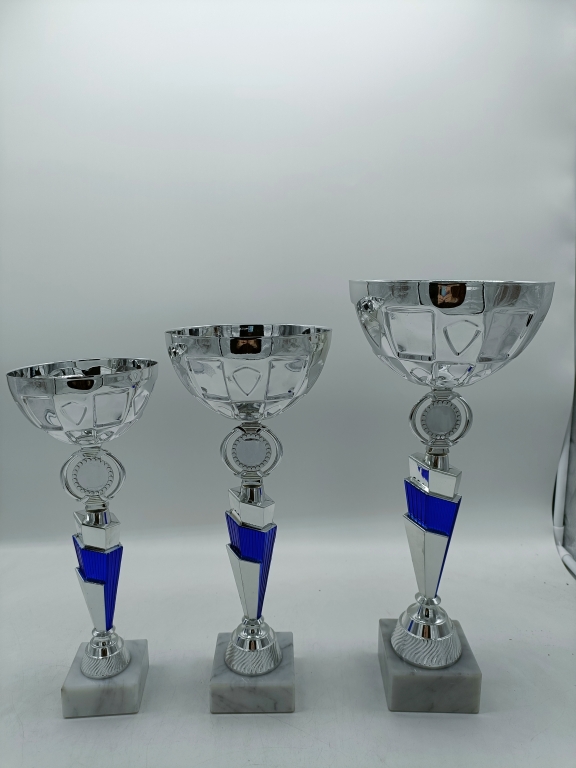 trofeo ficha grande
