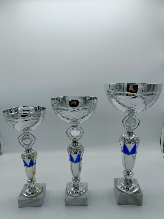 trofeo ficha grande