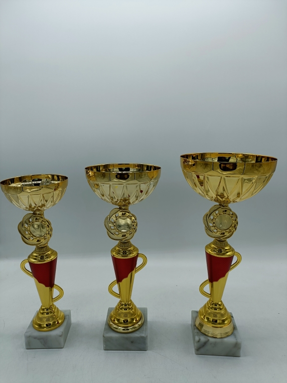 trofeo ficha grande
