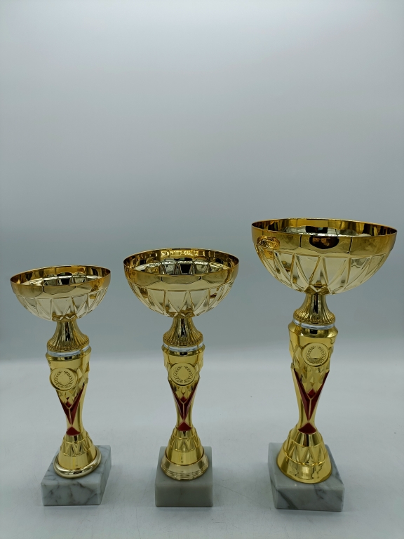 trofeo ficha grande