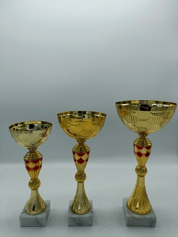 trofeo ficha grande